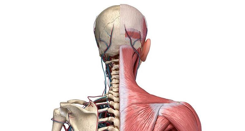 degenerative changes in the vertebrae
